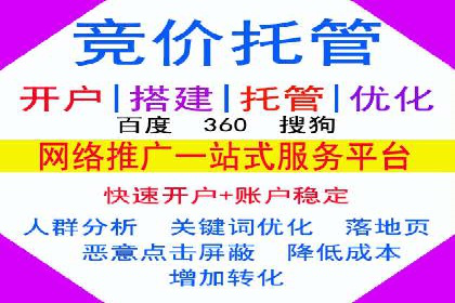 SEM营销推广实战案例：揭秘成功之道