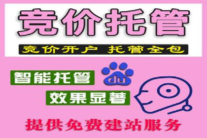 深度解析：百度推广代理的运营策略与效果